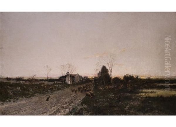 Abendliche Moorlandschaft Mit Schafherde - view 1