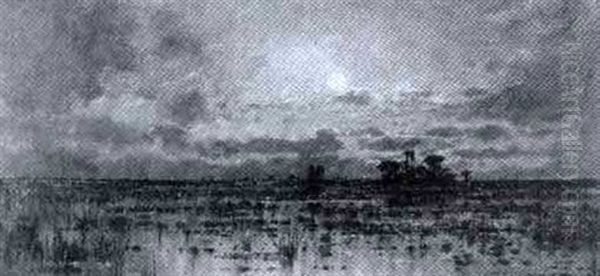 Weite Moorlandschaft - view 1