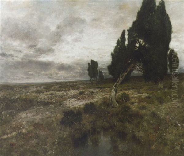 Lutterloh: A Vast Landscape At Dusk - view 1