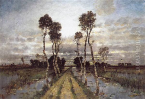 Pathway Along The River - view 1