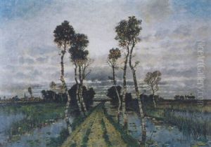 Moorlandschaft Mit Birkenallee Moorlandschaft Mit Birkenallee