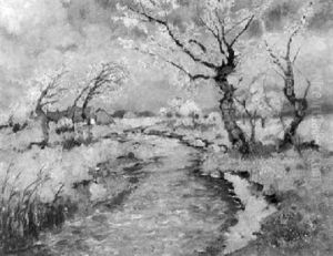 Mecklenburgische Landschaft Im Fruhling