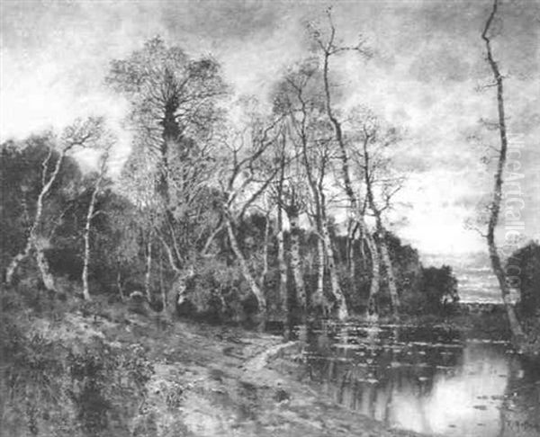 Waldlandschaft Mit Einem Weiher - view 1