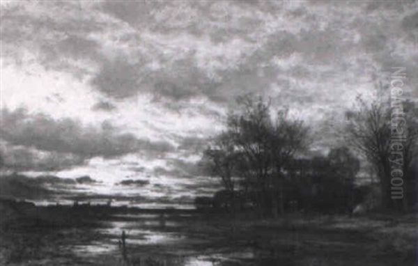 Abendstimmung In Den Flusauen - view 1