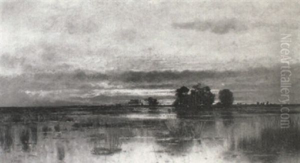 Marshy Landscape - view 1