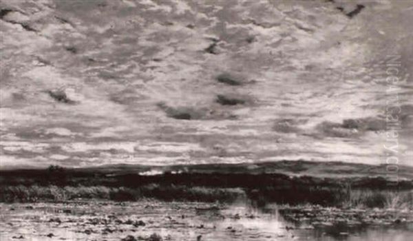 Marshland Landscape - view 1