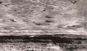 Marshland Landscape by Karl Heffner