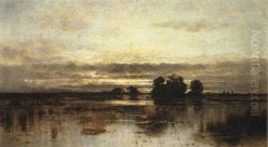 Flooded Marshes by Karl Heffner