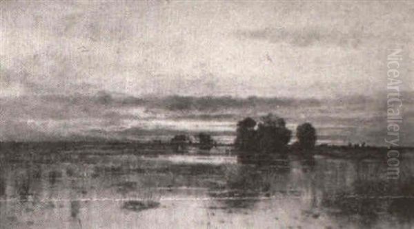 Marsh At Twilight - view 1