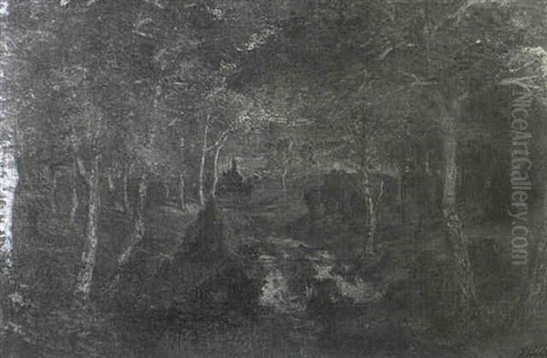 Waldlandschaft - view 1