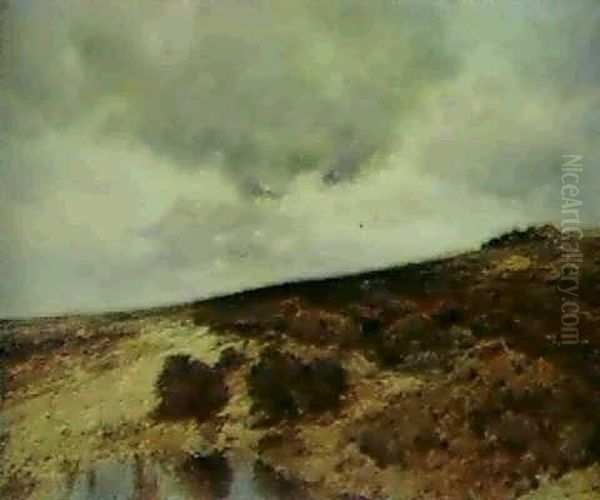 An Extensive Landscape - view 1