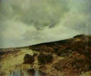 An Extensive Landscape An Extensive Landscape