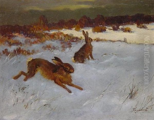 Zwei Hasen Auf Einer Verschneiten Heide - view 1
