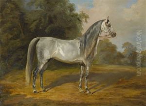 Bildnis Eines Schimmels by Joseph Heicke