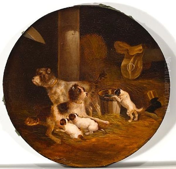 Wirehaired Fox Terrier Family In The Stable - view 1