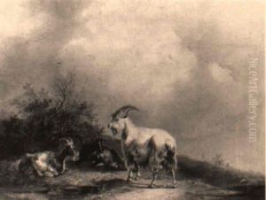 Ruhende Ziegen by Joseph Heicke