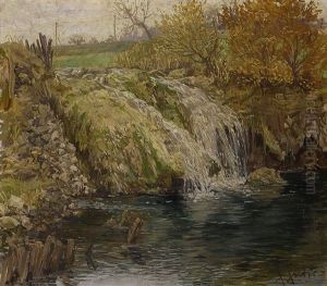 Bachufer Mit Kleinem Wasserfall Bachufer Mit Kleinem Wasserfall