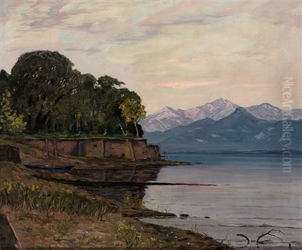Fruhmorgendliche Bodensee-landschaft Am Obersee - view 1