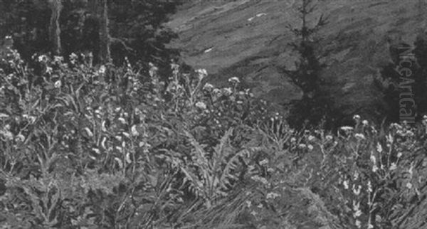 Almwiese - view 1
