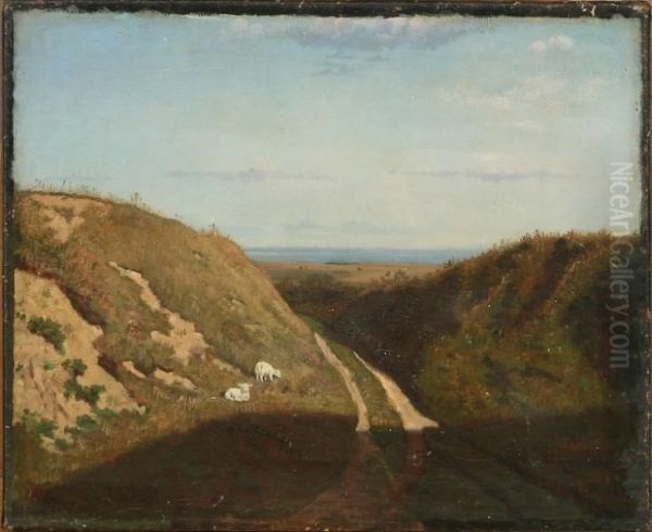 Landscape - view 1