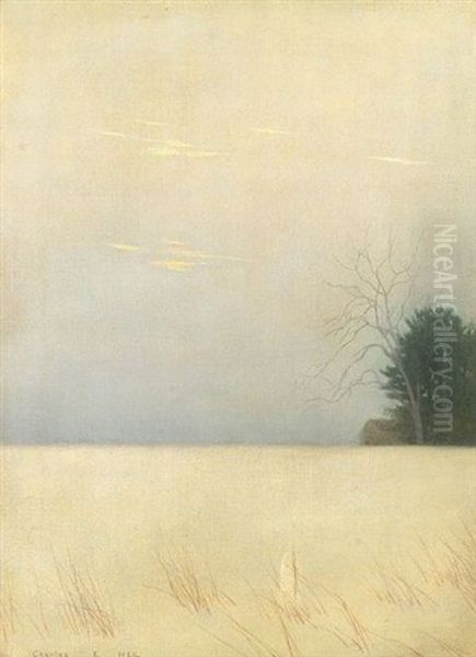 Study In Gray - view 1