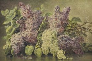 Still Life With Roses And Hydrangeas by Flora Heilmann