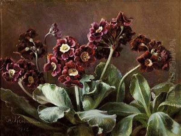 Voksende Lilla Primula - view 1