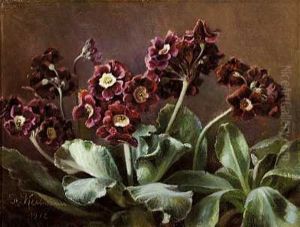 Voksende Lilla Primula