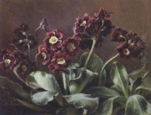 Voksende Lilla Primula I En Potte by Flora Heilmann