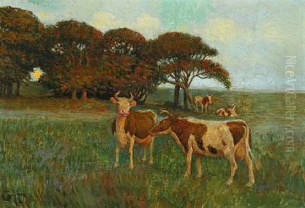 A Field With Cows And Sun Shining Through The Trees - view 1