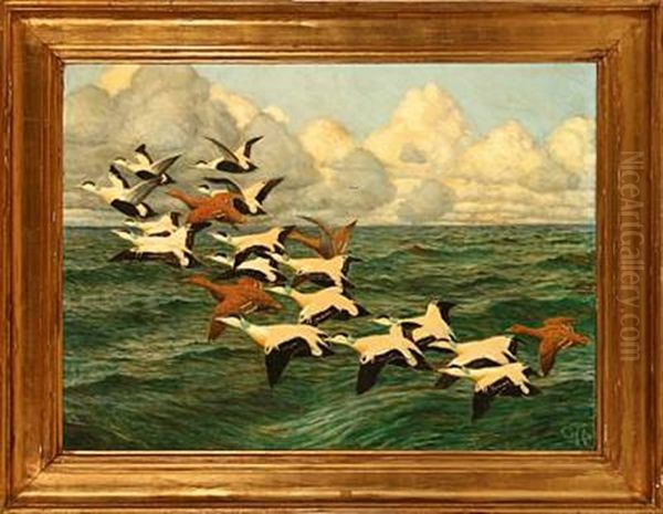 Aender Over Havet - view 1