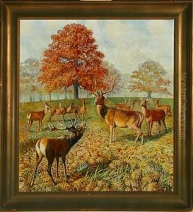 Red Deer In A Forest