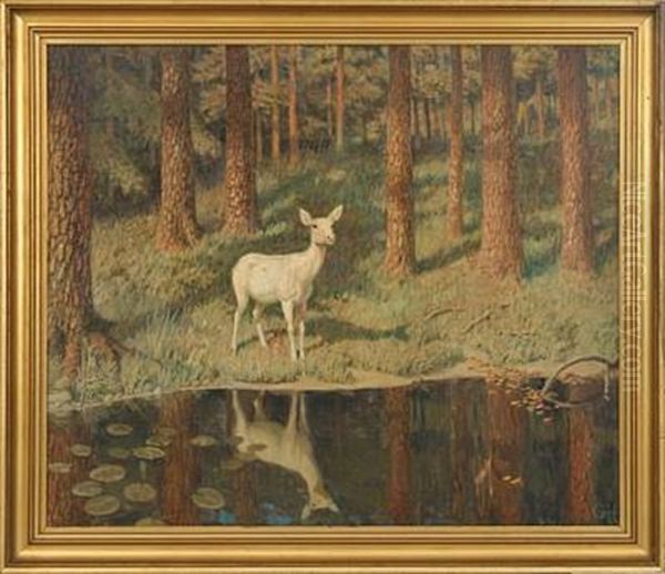 Forest Scenery With A Fawn At A Forest Lake - view 1