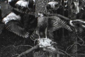 Baumfalke Mit Geschlagener Dohle Von Artgenossen Attackiert
