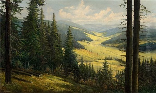 The Black Forest Valley - view 1