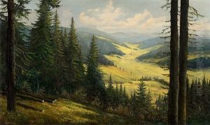 The Black Forest Valley