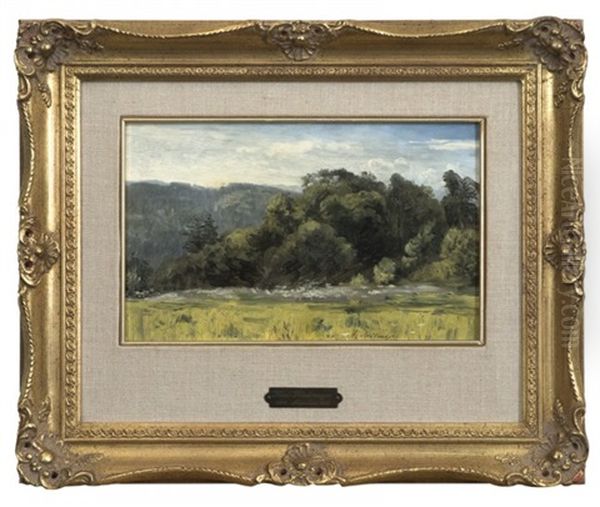 Trees In A Landscape - view 1