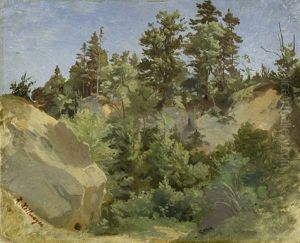 Sonnenbeschienene Felsschlucht Mit Tannen Und Laubbaumen Sonnenbeschienene Felsschlucht Mit Tannen Und Laubbaumen