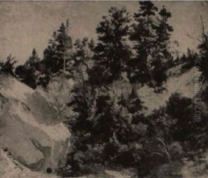 Felsige, Mit Tannen Und Laubbaumen Bestandene Schlucht