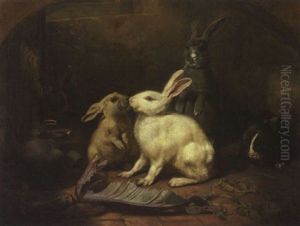 Sechs Hasen Im Stall by Friedrich Heimerdinger