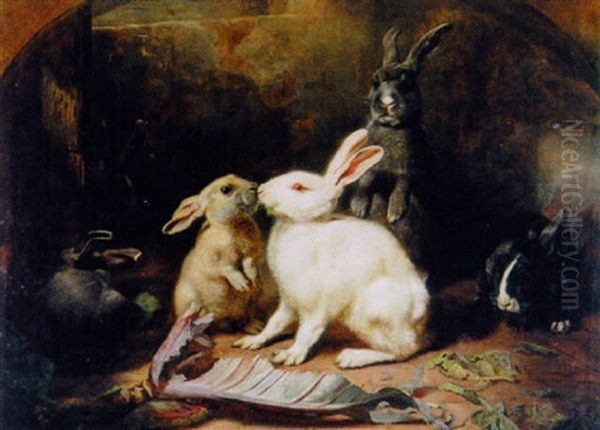 Hasenfamilie - view 1