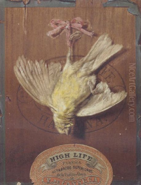 A Hanging Bird On The Lid Of A Cigar Box - view 1