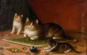 Katzenmutter Mit Zwei Jungen