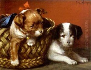 Zwei Hundekinder