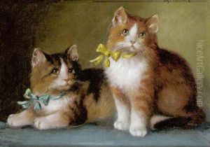 Herausgeputzte Katzchen by Josef Heimerl