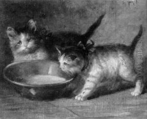 Junge Katzen
