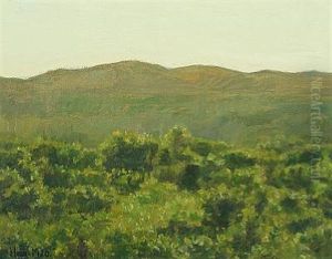 Landscape At Skagen Plantation by Einar Hein