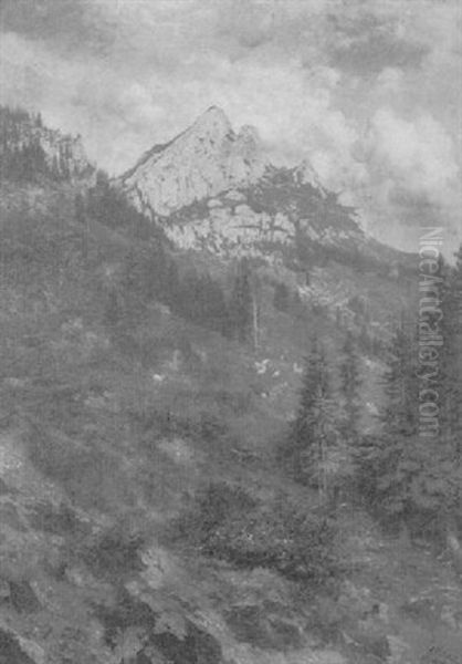 Gebirgslandschaft - view 1