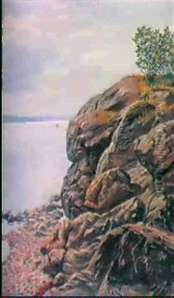 Sommerlandschaft Am Oslofjord - view 1