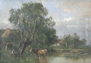 Kuhe Am Wassertumpel Im Dachauer Moos